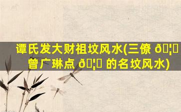 谭氏发大财祖坟风水(三僚 🦅 曾广琳点 🦆 的名坟风水)